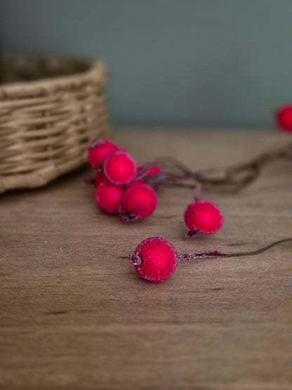 Christmas Frosted Berries | Red