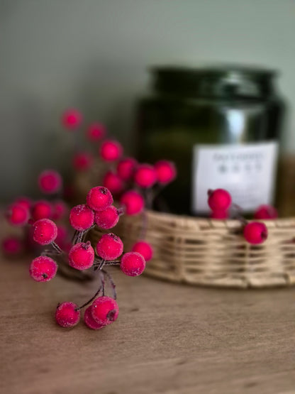 Christmas Frosted Berries | Red