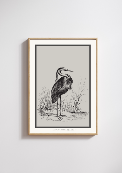 vintage grey heron bird digital art print