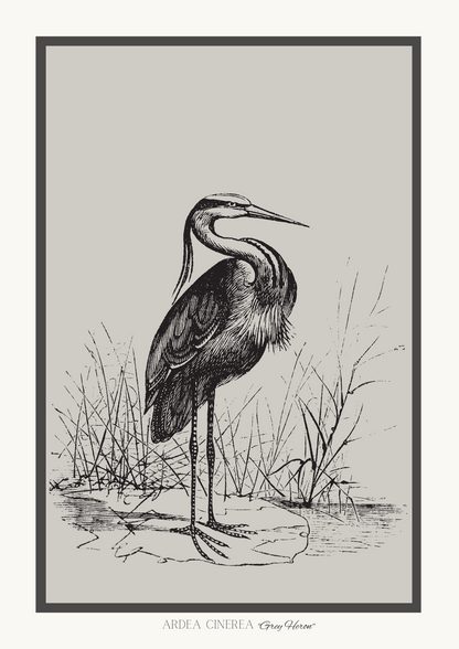 vintage heron bird sketch art work digital file